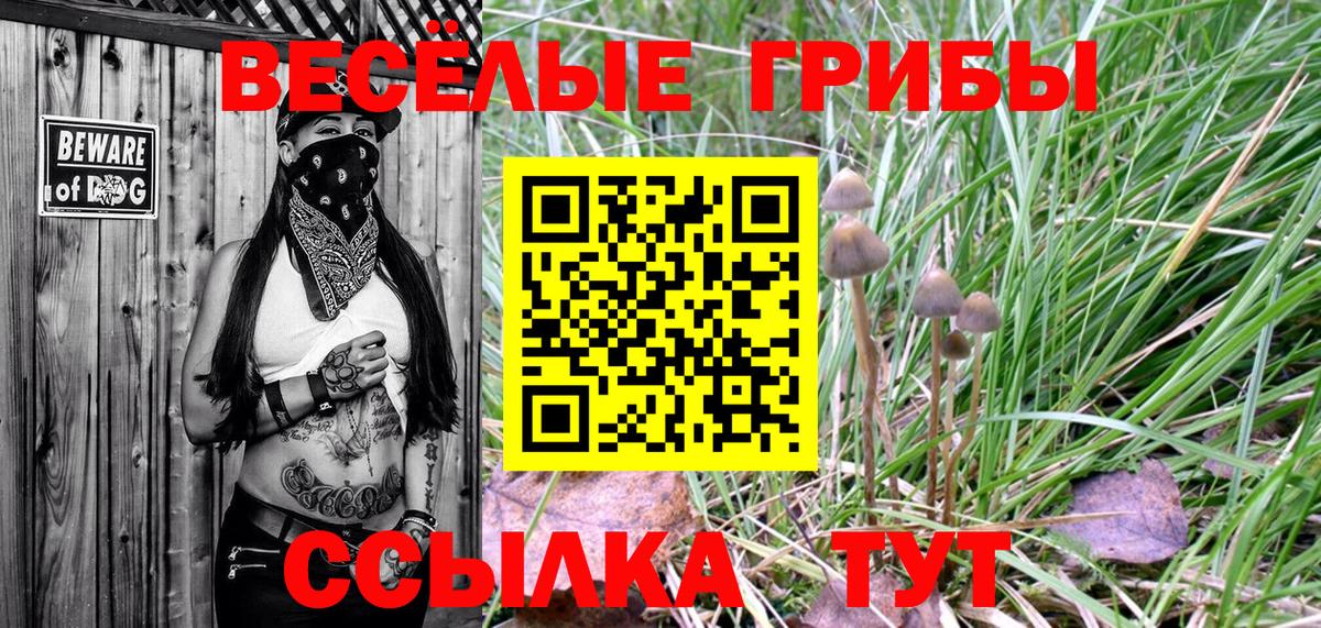 Галлюциногенные грибы MAGIC MUSHROOMS Североуральск