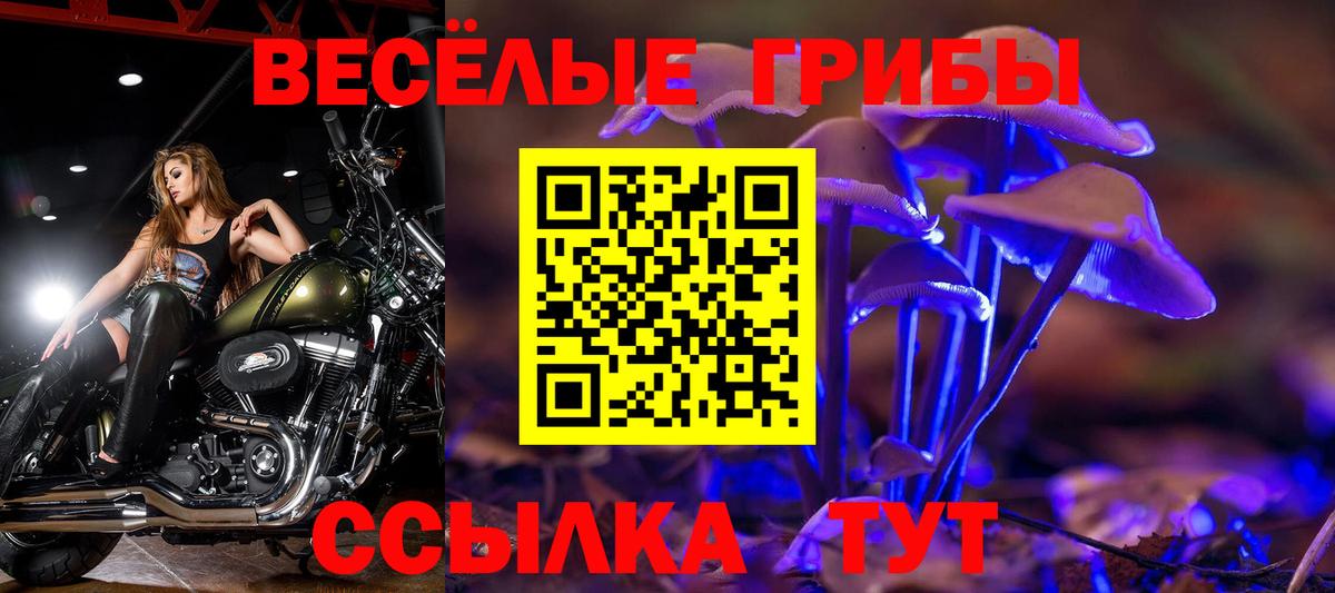 Псилоцибиновые грибы Cubensis  Галлюциногенные грибы GOLDEN TEACHER  Североуральск  Вход с VPN 
