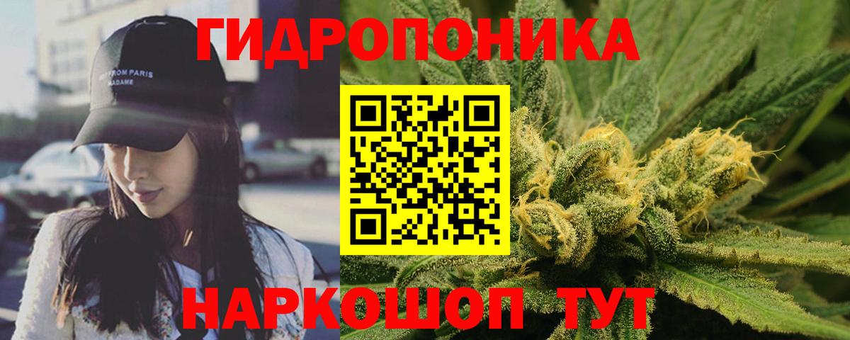 Каннабис конопля  Вход с VPN  Конопля планчик  Североуральск  Бошки марихуана ГИДРОПОН 